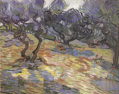 Vincent Van Gogh Olive Trees:Bright Blue Sky (nn04)